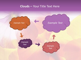 A Group Of Colorful Flowers Powerpoint Template PowerPoint Template