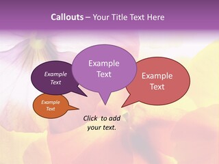 A Group Of Colorful Flowers Powerpoint Template PowerPoint Template