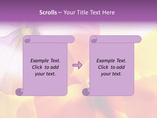 A Group Of Colorful Flowers Powerpoint Template PowerPoint Template