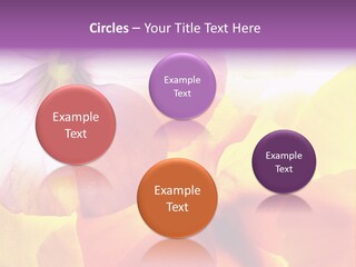 A Group Of Colorful Flowers Powerpoint Template PowerPoint Template