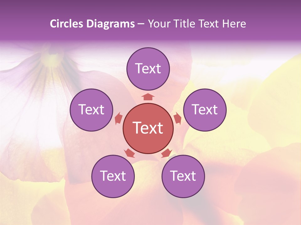 A Group Of Colorful Flowers Powerpoint Template PowerPoint Template