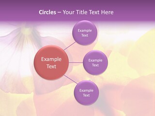 A Group Of Colorful Flowers Powerpoint Template PowerPoint Template