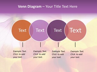 A Group Of Colorful Flowers Powerpoint Template PowerPoint Template