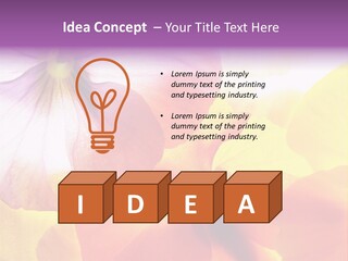 A Group Of Colorful Flowers Powerpoint Template PowerPoint Template