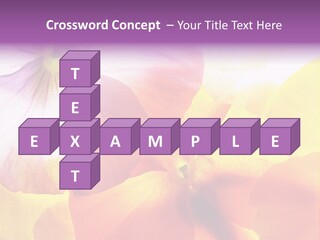 A Group Of Colorful Flowers Powerpoint Template PowerPoint Template