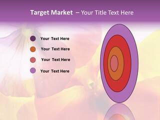 A Group Of Colorful Flowers Powerpoint Template PowerPoint Template