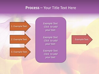 A Group Of Colorful Flowers Powerpoint Template PowerPoint Template