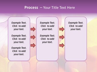 A Group Of Colorful Flowers Powerpoint Template PowerPoint Template