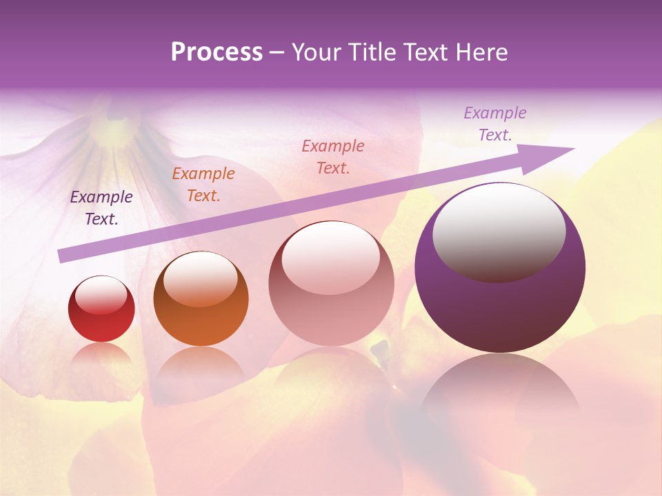 A Group Of Colorful Flowers Powerpoint Template PowerPoint Template