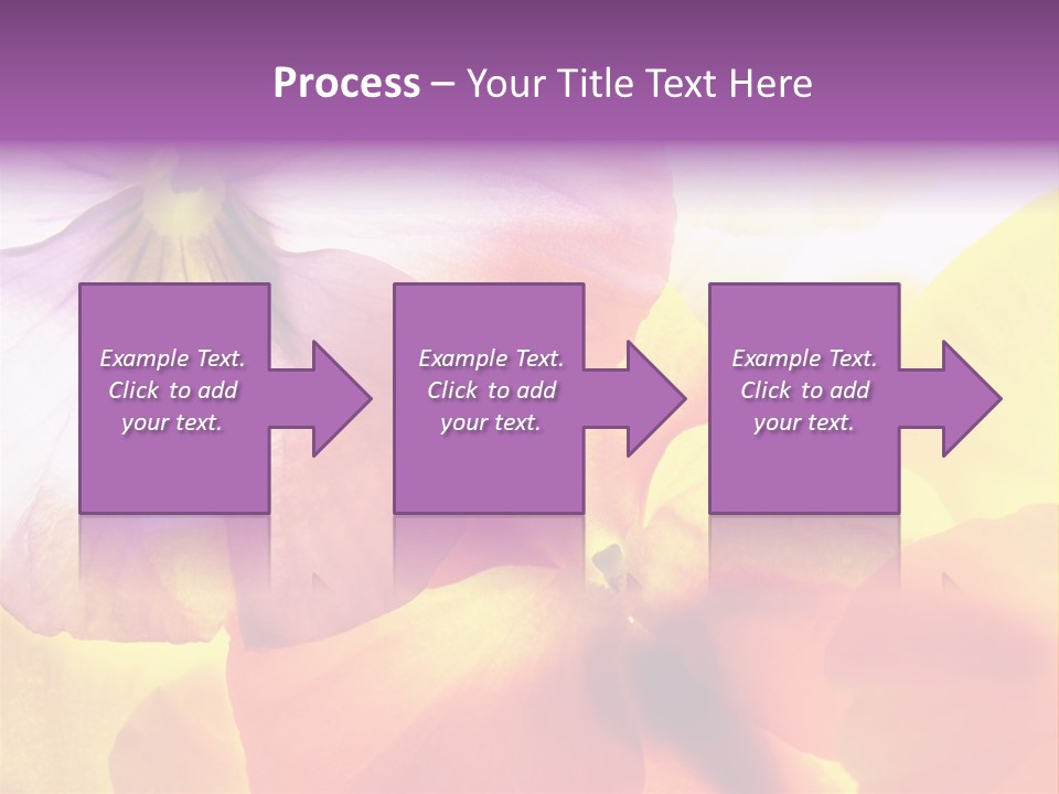 A Group Of Colorful Flowers Powerpoint Template PowerPoint Template