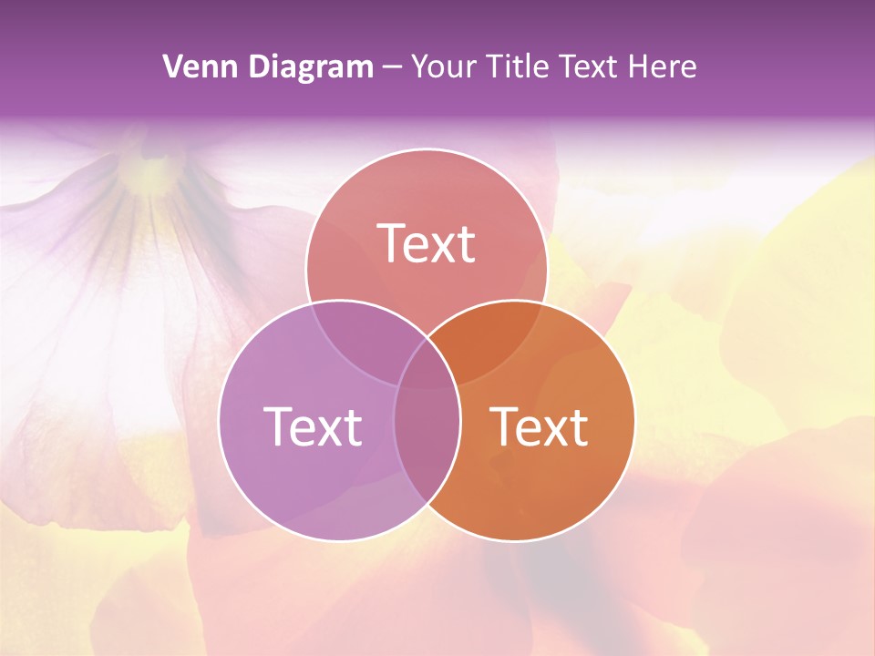 A Group Of Colorful Flowers Powerpoint Template PowerPoint Template