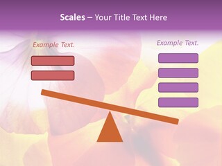 A Group Of Colorful Flowers Powerpoint Template PowerPoint Template