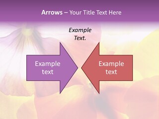 A Group Of Colorful Flowers Powerpoint Template PowerPoint Template