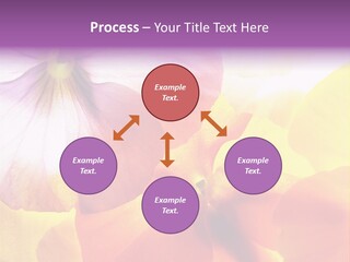 A Group Of Colorful Flowers Powerpoint Template PowerPoint Template