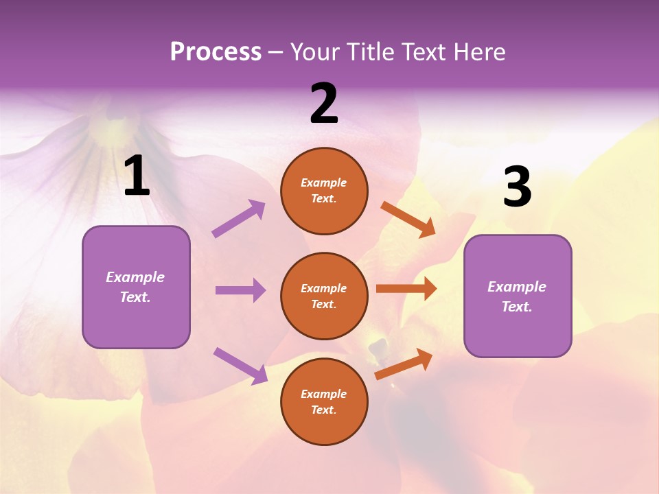 A Group Of Colorful Flowers Powerpoint Template PowerPoint Template