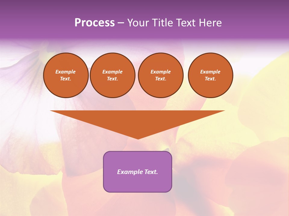 A Group Of Colorful Flowers Powerpoint Template PowerPoint Template