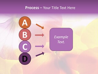 A Group Of Colorful Flowers Powerpoint Template PowerPoint Template