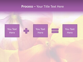 A Group Of Colorful Flowers Powerpoint Template PowerPoint Template
