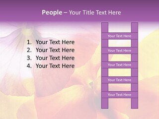 A Group Of Colorful Flowers Powerpoint Template PowerPoint Template