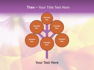 A Group Of Colorful Flowers Powerpoint Template PowerPoint Template