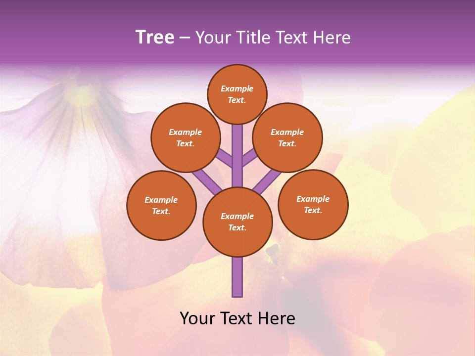 A Group Of Colorful Flowers Powerpoint Template PowerPoint Template