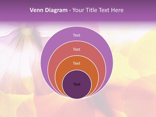 A Group Of Colorful Flowers Powerpoint Template PowerPoint Template