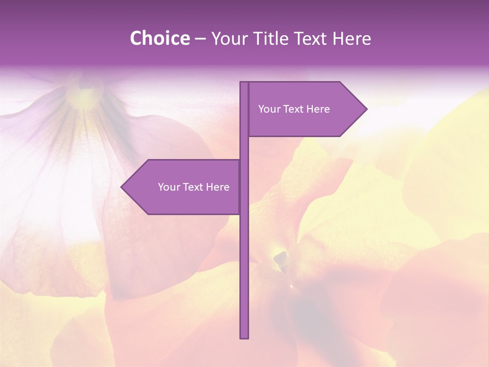 A Group Of Colorful Flowers Powerpoint Template PowerPoint Template