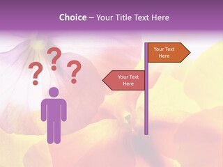 A Group Of Colorful Flowers Powerpoint Template PowerPoint Template