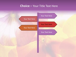 A Group Of Colorful Flowers Powerpoint Template PowerPoint Template