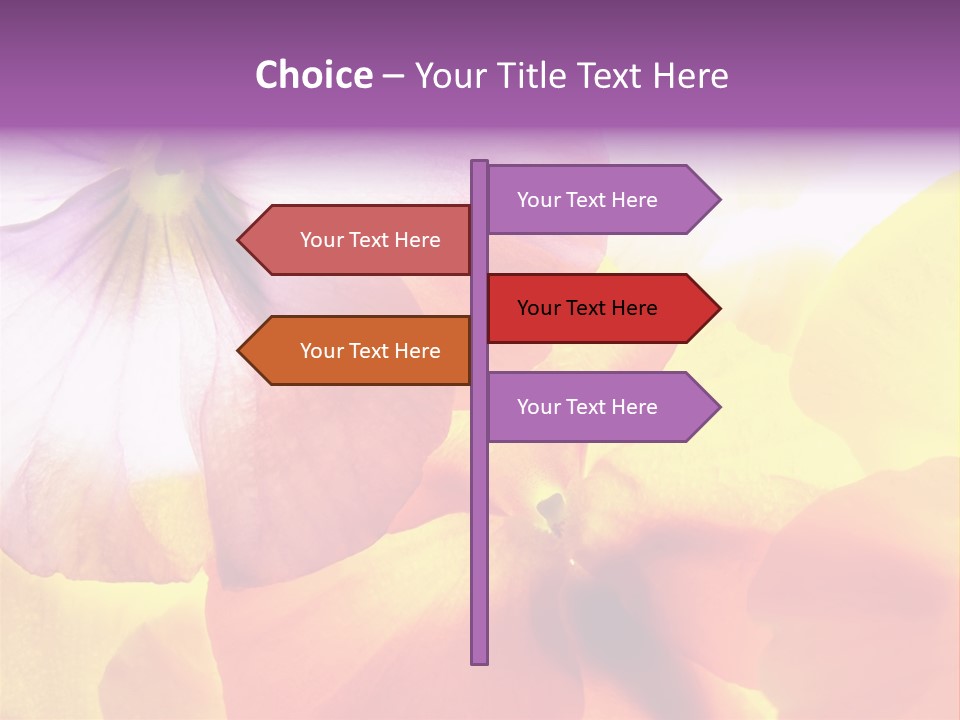 A Group Of Colorful Flowers Powerpoint Template PowerPoint Template