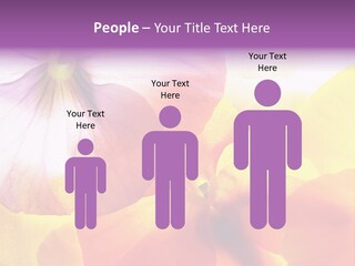 A Group Of Colorful Flowers Powerpoint Template PowerPoint Template