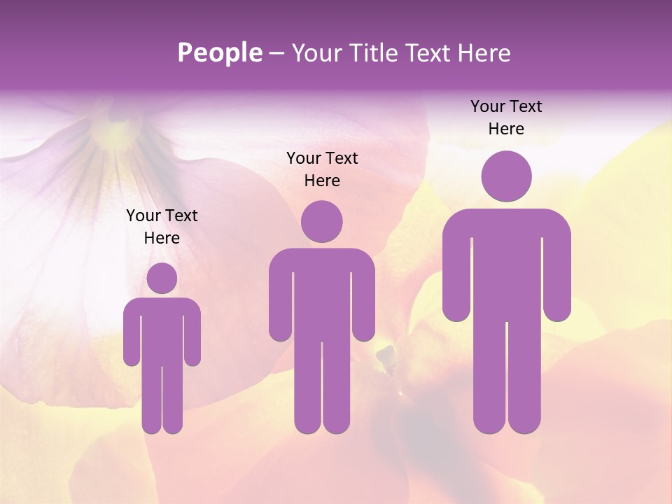 A Group Of Colorful Flowers Powerpoint Template PowerPoint Template