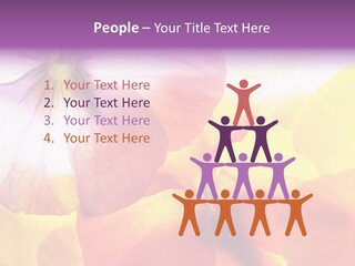 A Group Of Colorful Flowers Powerpoint Template PowerPoint Template