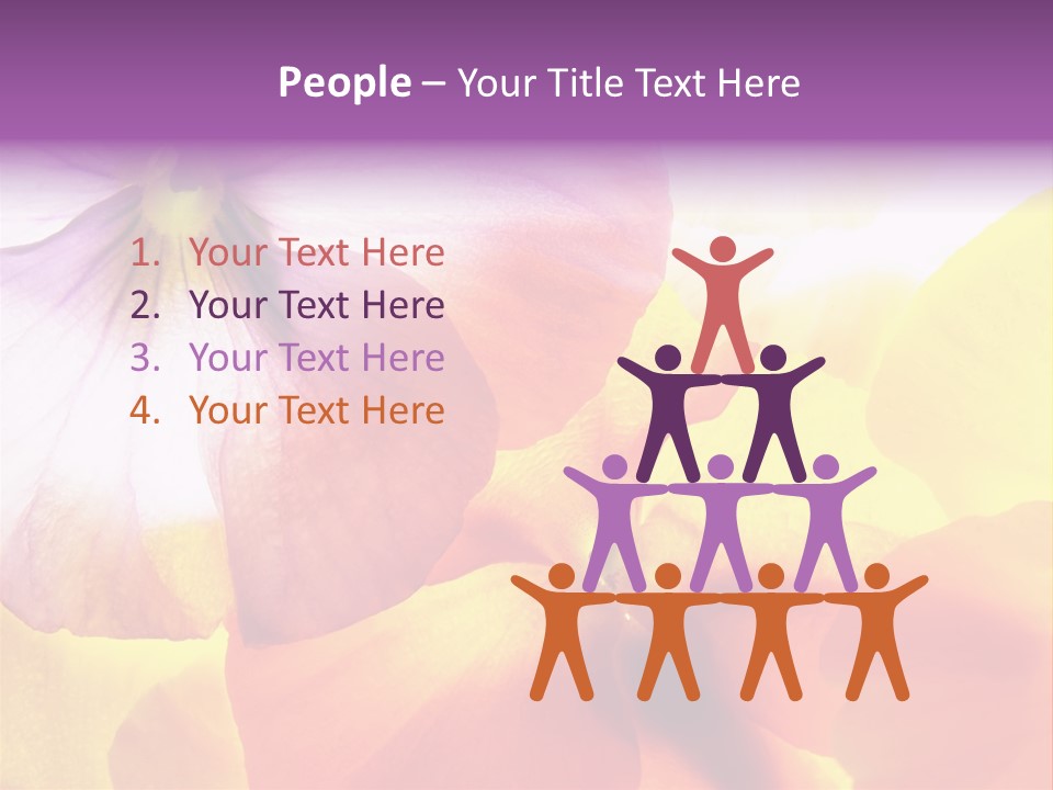 A Group Of Colorful Flowers Powerpoint Template PowerPoint Template