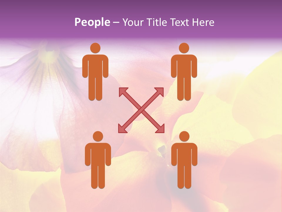 A Group Of Colorful Flowers Powerpoint Template PowerPoint Template