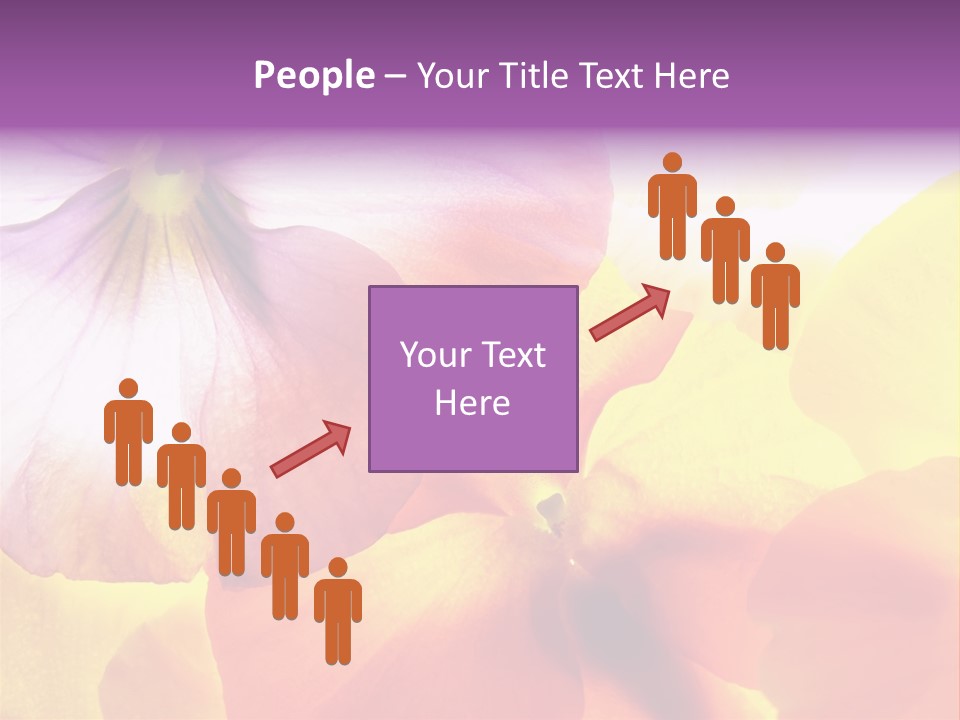 A Group Of Colorful Flowers Powerpoint Template PowerPoint Template