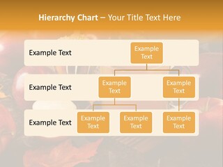 Apple Cider, Caramel Apple And Apple Pie PowerPoint Template