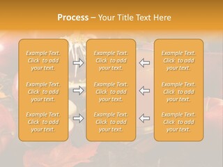 Apple Cider, Caramel Apple And Apple Pie PowerPoint Template
