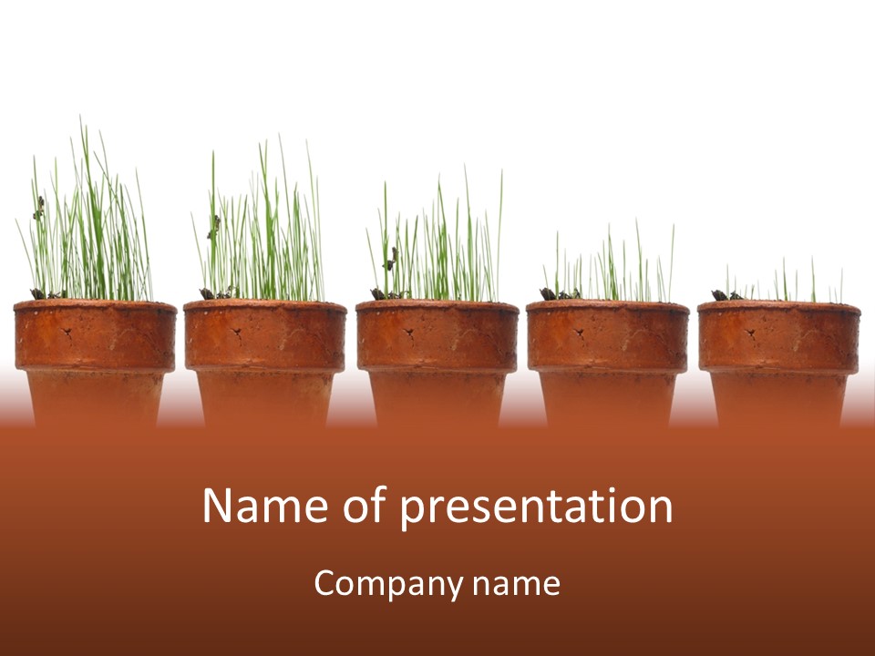 A Row Of Pots With Grass Growing Out Of Them PowerPoint Template
