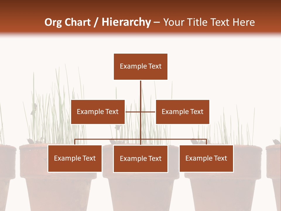 A Row Of Pots With Grass Growing Out Of Them PowerPoint Template