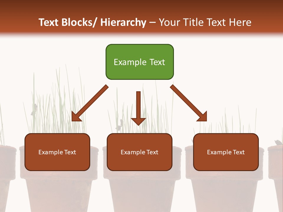 A Row Of Pots With Grass Growing Out Of Them PowerPoint Template