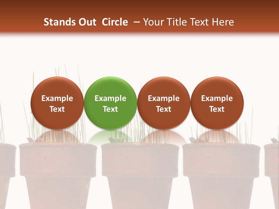 A Row Of Pots With Grass Growing Out Of Them PowerPoint Template