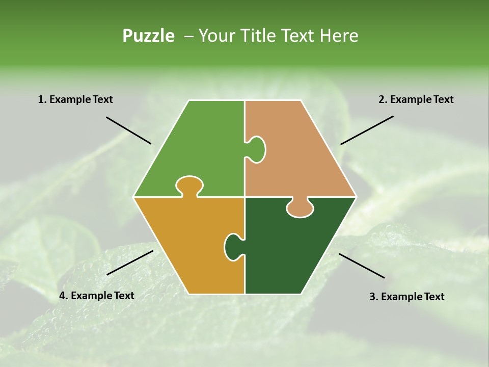 Colorado Beetle On Potato Leaf PowerPoint Template