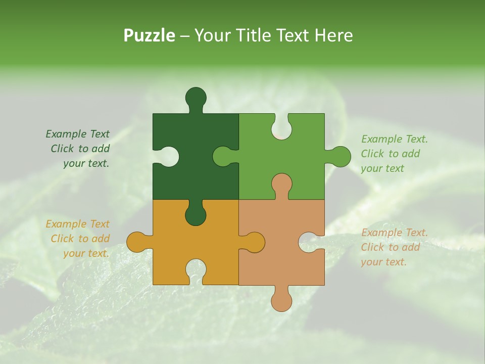 Colorado Beetle On Potato Leaf PowerPoint Template