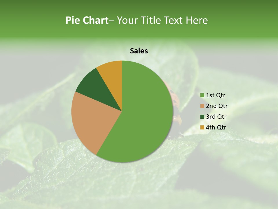 Colorado Beetle On Potato Leaf PowerPoint Template