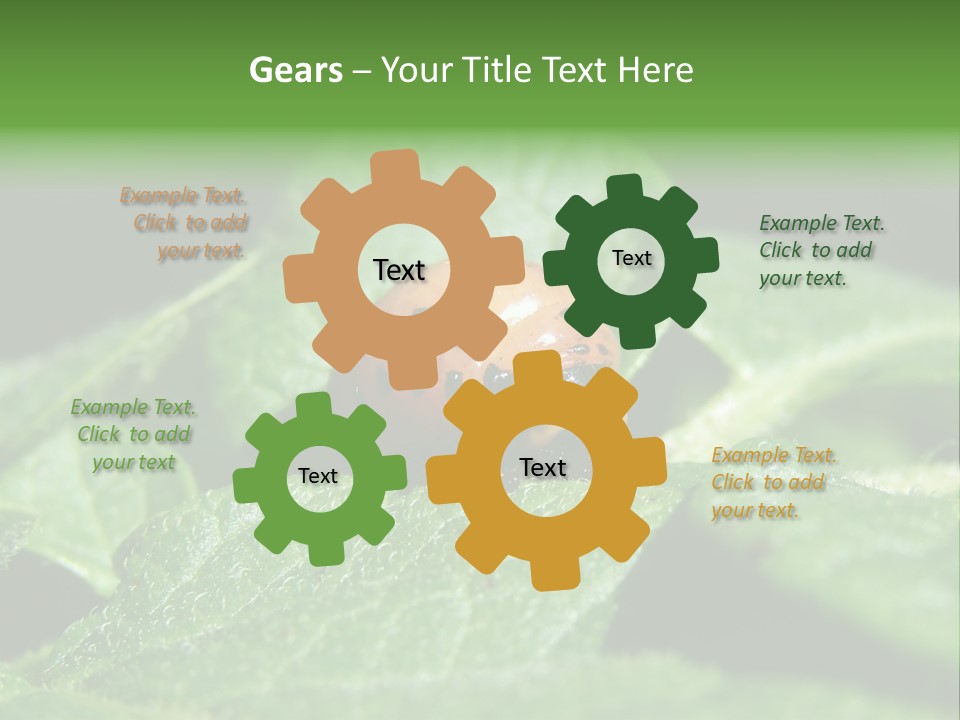 Colorado Beetle On Potato Leaf PowerPoint Template