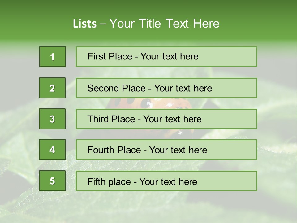 Colorado Beetle On Potato Leaf PowerPoint Template