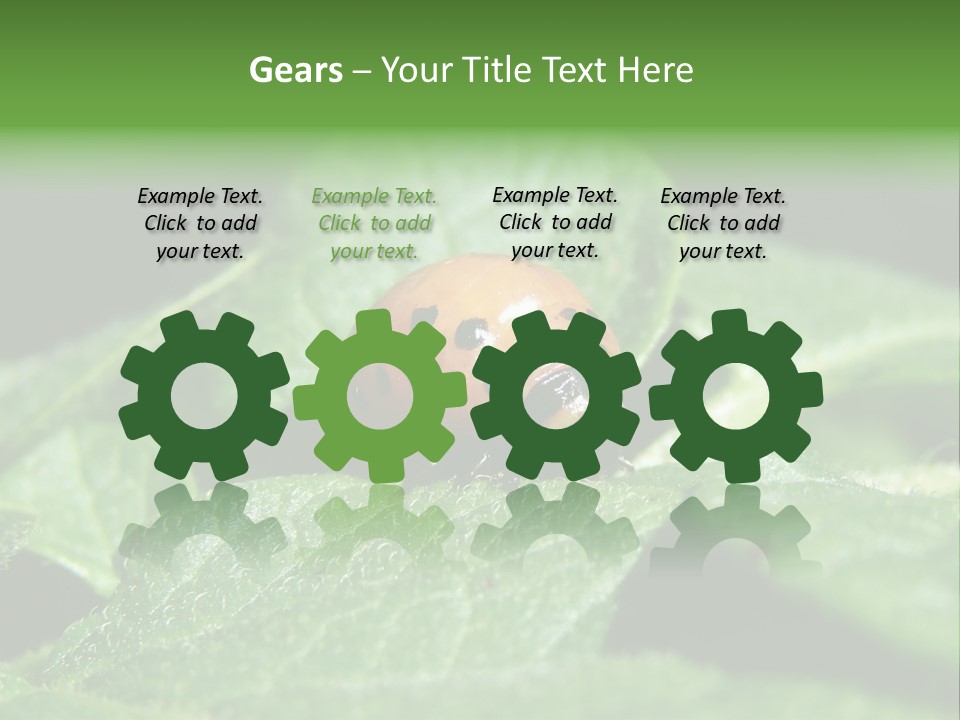 Colorado Beetle On Potato Leaf PowerPoint Template