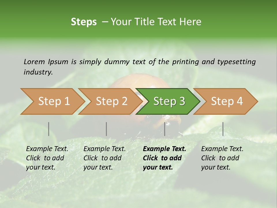 Colorado Beetle On Potato Leaf PowerPoint Template