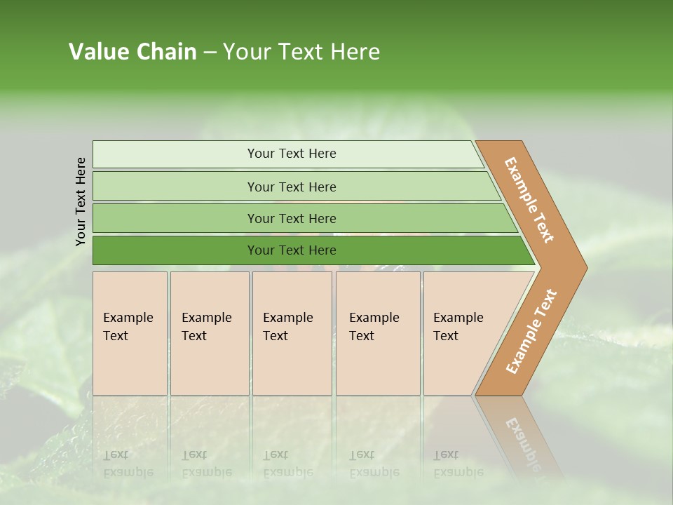 Colorado Beetle On Potato Leaf PowerPoint Template